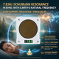 SA-Y10 Adjustable 7.83 Hz Schumann Resonance Generator, 0.01 Hz–100 kHz, USB-C Powered with Magnetic Field Detector